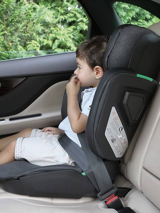 multi-fold__0001_MultiFold_(1544) 6