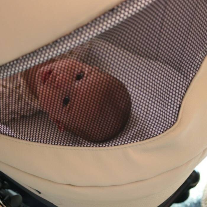 cochecito-flowy-es-capazo-7 46