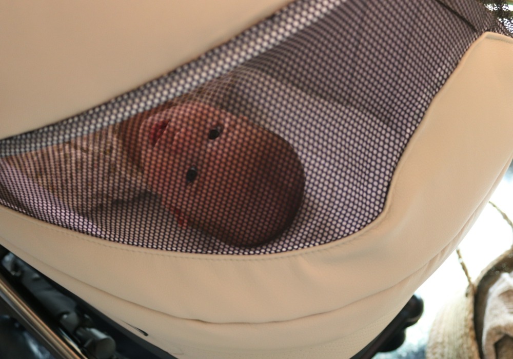 cochecito-flowy-es-capazo-7 46